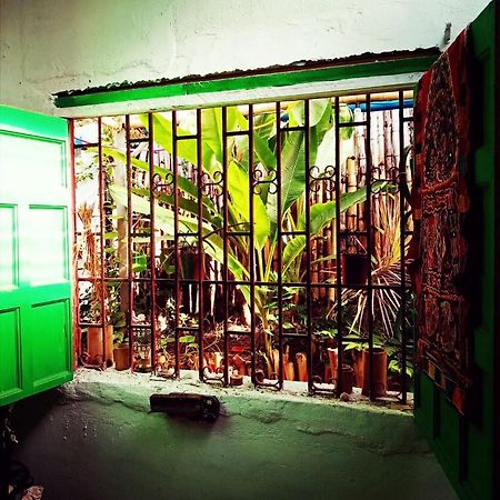 Meanwhile In Veracruz Exterior photo