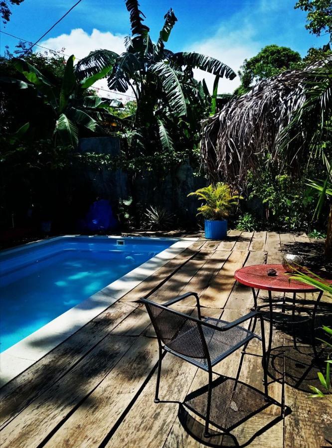 Meanwhile In Veracruz Exterior photo