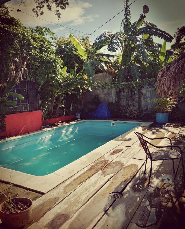 Meanwhile In Veracruz Exterior photo
