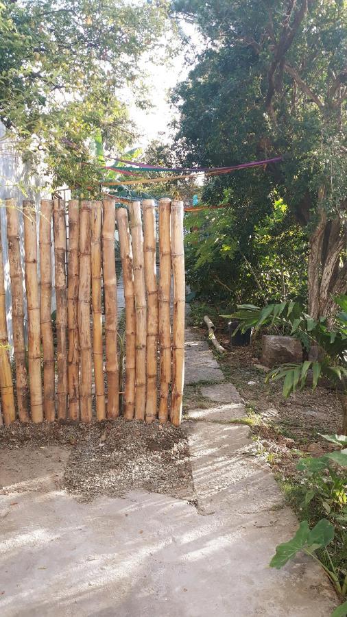 Meanwhile In Veracruz Exterior photo