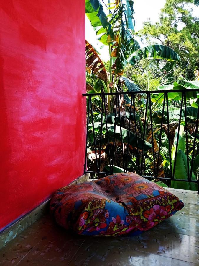 Meanwhile In Veracruz Exterior photo
