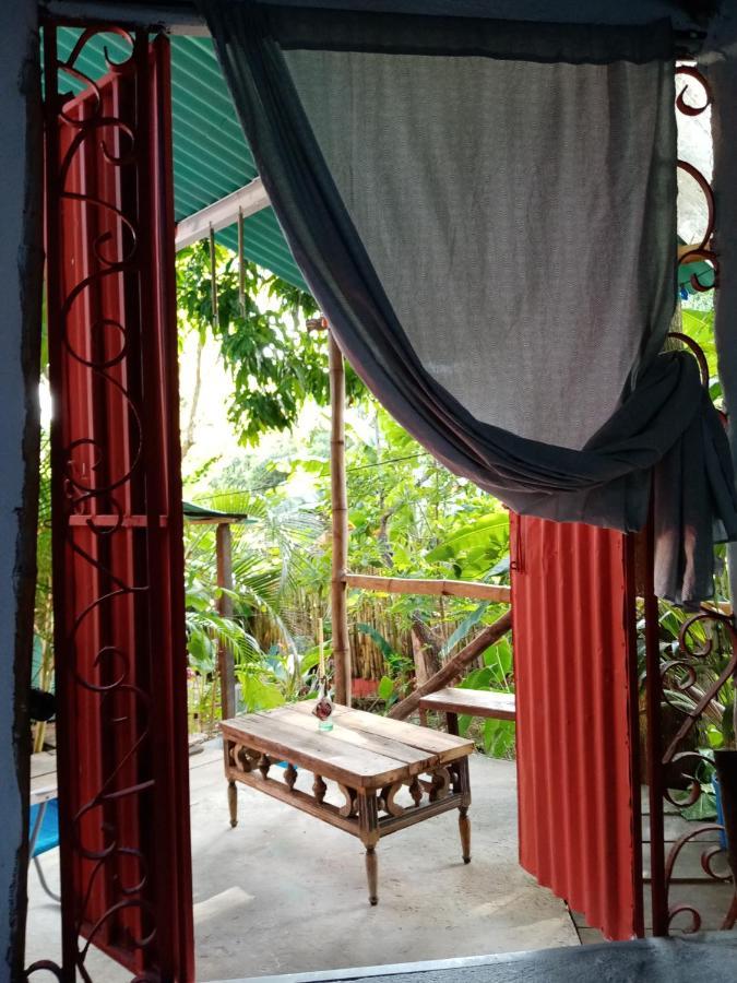 Meanwhile In Veracruz Exterior photo